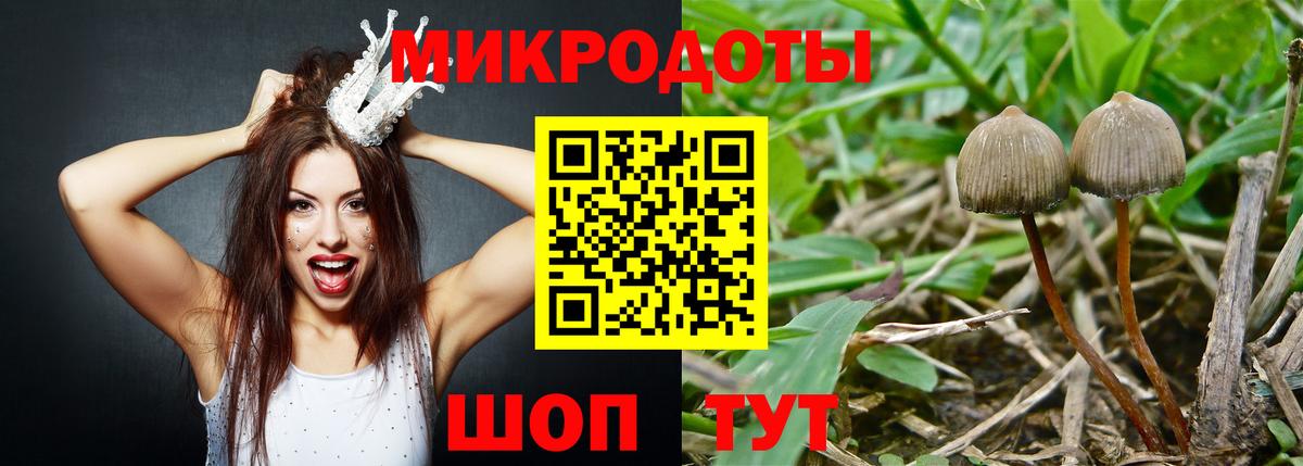 Псилоцибиновые грибы ЛСД  Вход с VPN  Сергиев Посад 